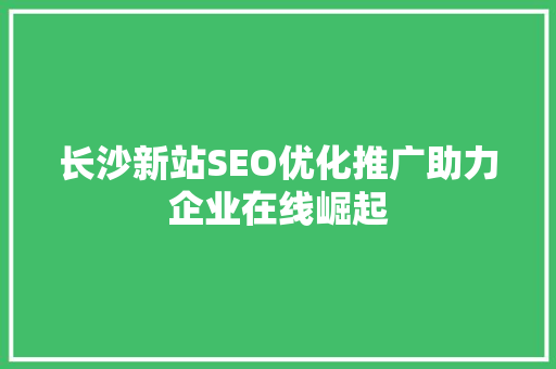 长沙新站SEO优化推广助力企业在线崛起