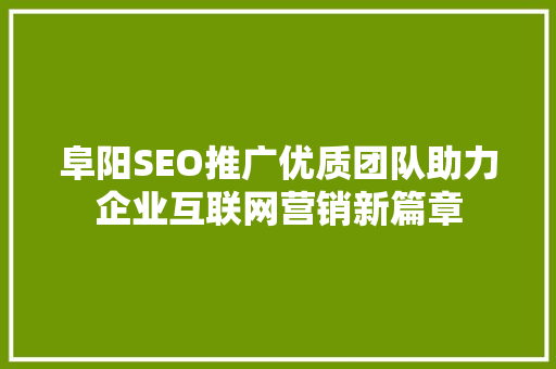 阜阳SEO推广优质团队助力企业互联网营销新篇章