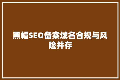 黑帽SEO备案域名合规与风险并存