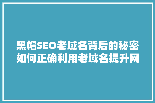 黑帽SEO老域名背后的秘密如何正确利用老域名提升网站权重
