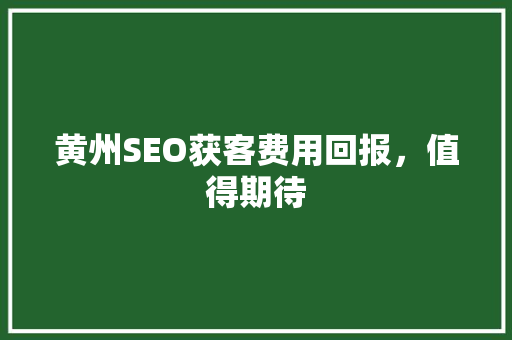 黄州SEO获客费用回报，值得期待