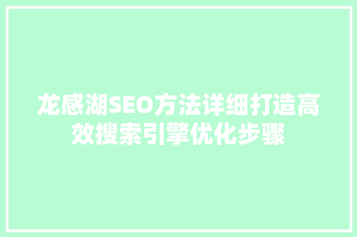 龙感湖SEO方法详细打造高效搜索引擎优化步骤