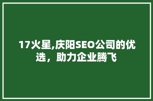 17火星,庆阳SEO公司的优选，助力企业腾飞