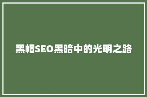 黑帽SEO黑暗中的光明之路