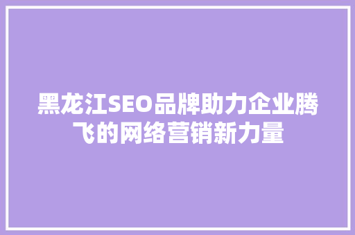 黑龙江SEO品牌助力企业腾飞的网络营销新力量