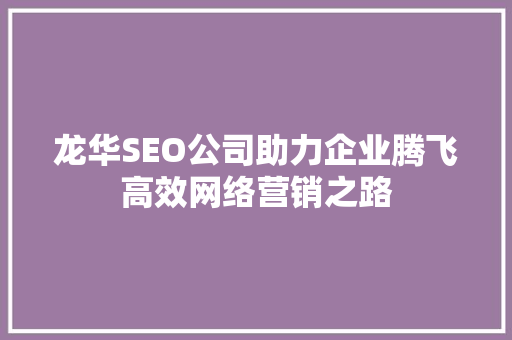 龙华SEO公司助力企业腾飞高效网络营销之路