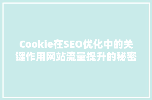 Cookie在SEO优化中的关键作用网站流量提升的秘密武器