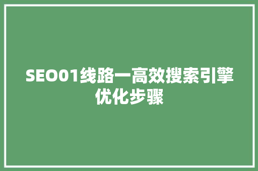 SEO01线路一高效搜索引擎优化步骤