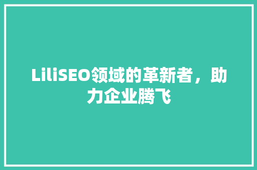 LiliSEO领域的革新者，助力企业腾飞