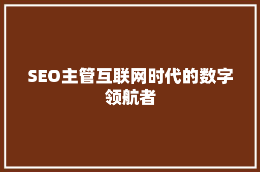 SEO主管互联网时代的数字领航者