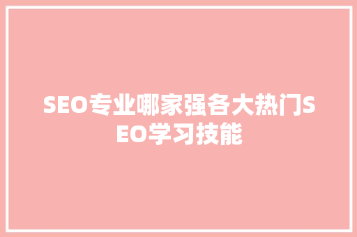 SEO专业哪家强各大热门SEO学习技能