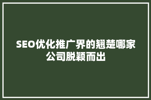 SEO优化推广界的翘楚哪家公司脱颖而出
