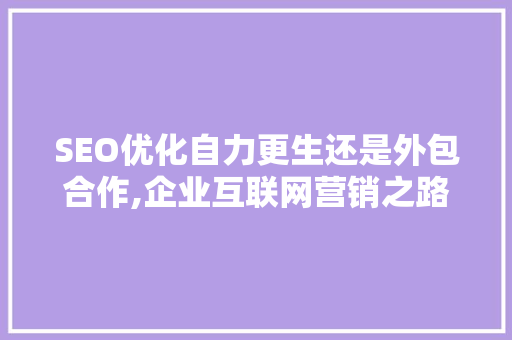 SEO优化自力更生还是外包合作,企业互联网营销之路