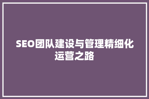 SEO团队建设与管理精细化运营之路