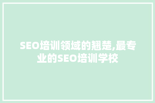 SEO培训领域的翘楚,最专业的SEO培训学校