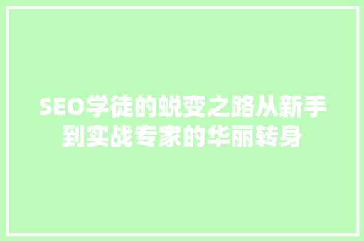 SEO学徒的蜕变之路从新手到实战专家的华丽转身