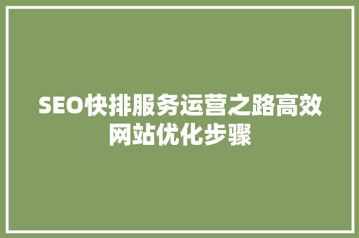 SEO快排服务运营之路高效网站优化步骤