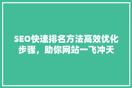 SEO快速排名方法高效优化步骤，助你网站一飞冲天