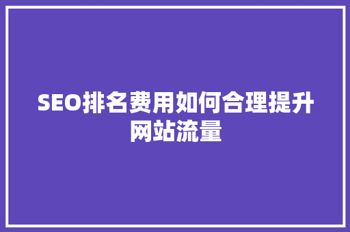 SEO排名费用如何合理提升网站流量