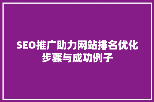 SEO推广助力网站排名优化步骤与成功例子