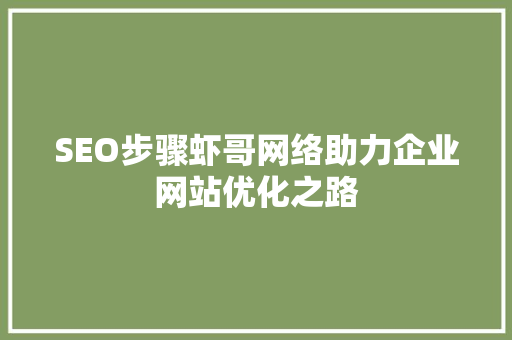 SEO步骤虾哥网络助力企业网站优化之路