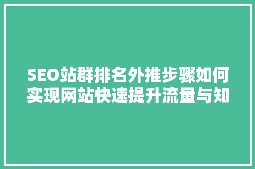 SEO站群排名外推步骤如何实现网站快速提升流量与知名度