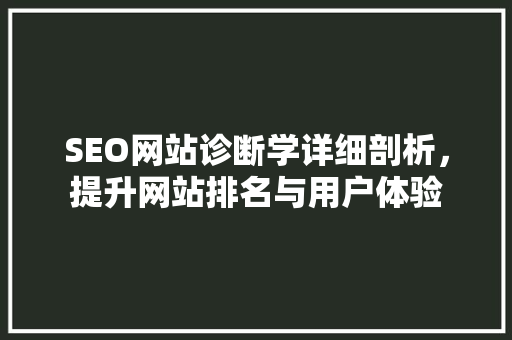 SEO网站诊断学详细剖析，提升网站排名与用户体验