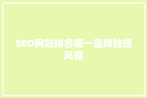 SEO网站排名哪一品牌独领风骚