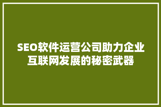 SEO软件运营公司助力企业互联网发展的秘密武器