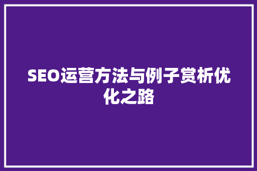 SEO运营方法与例子赏析优化之路