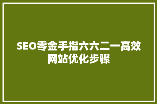 SEO零金手指六六二一高效网站优化步骤