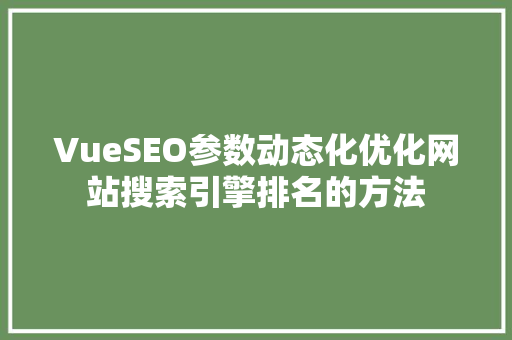 VueSEO参数动态化优化网站搜索引擎排名的方法