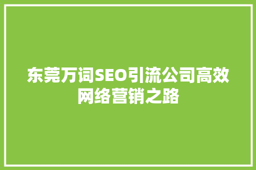 东莞万词SEO引流公司高效网络营销之路