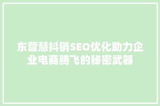 东营慧抖销SEO优化助力企业电商腾飞的秘密武器