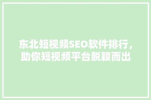 东北短视频SEO软件排行，助你短视频平台脱颖而出