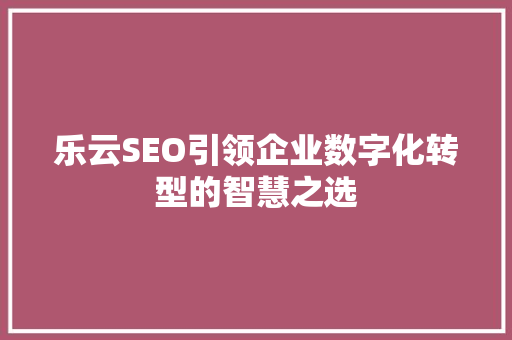 乐云SEO引领企业数字化转型的智慧之选
