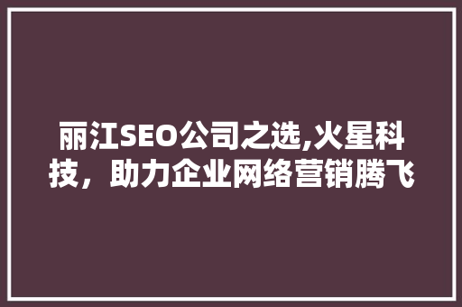 丽江SEO公司之选,火星科技，助力企业网络营销腾飞