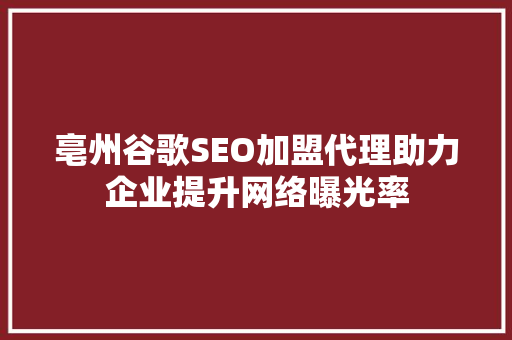 亳州谷歌SEO加盟代理助力企业提升网络曝光率