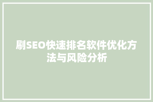 刷SEO快速排名软件优化方法与风险分析