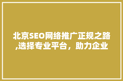 北京SEO网络推广正规之路,选择专业平台，助力企业腾飞