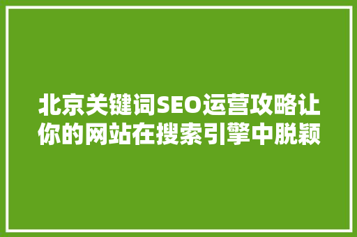 北京关键词SEO运营攻略让你的网站在搜索引擎中脱颖而出