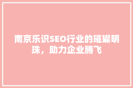 南京乐识SEO行业的璀璨明珠，助力企业腾飞