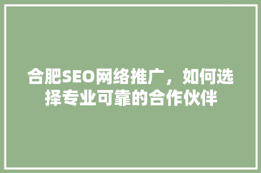 合肥SEO网络推广，如何选择专业可靠的合作伙伴