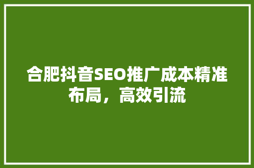 合肥抖音SEO推广成本精准布局，高效引流