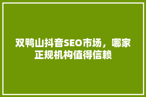 双鸭山抖音SEO市场，哪家正规机构值得信赖