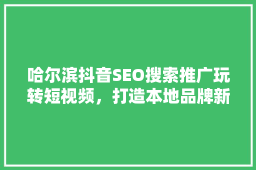 哈尔滨抖音SEO搜索推广玩转短视频，打造本地品牌新名片