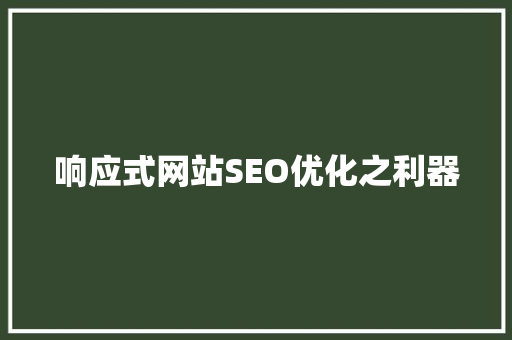 响应式网站SEO优化之利器