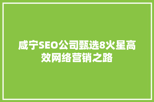 咸宁SEO公司甄选8火星高效网络营销之路