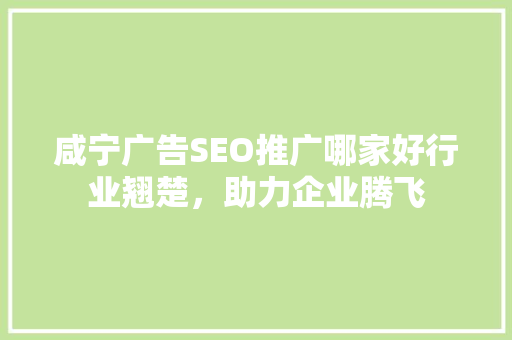 咸宁广告SEO推广哪家好行业翘楚，助力企业腾飞