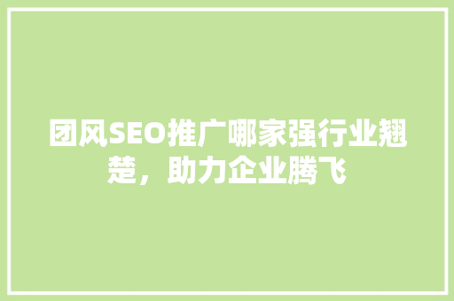 团风SEO推广哪家强行业翘楚，助力企业腾飞